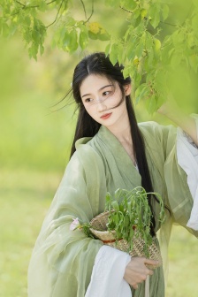转生七王子的魔法全解